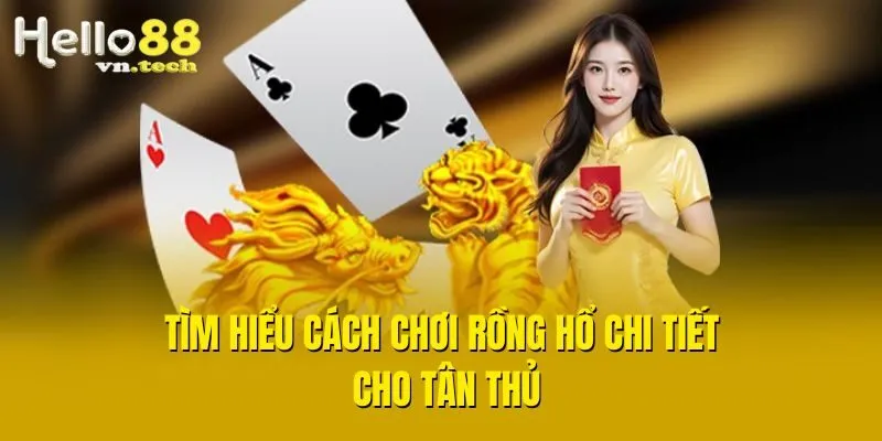 Tìm hiểu cách chơi Rồng Hổ chi tiết cho tân thủ